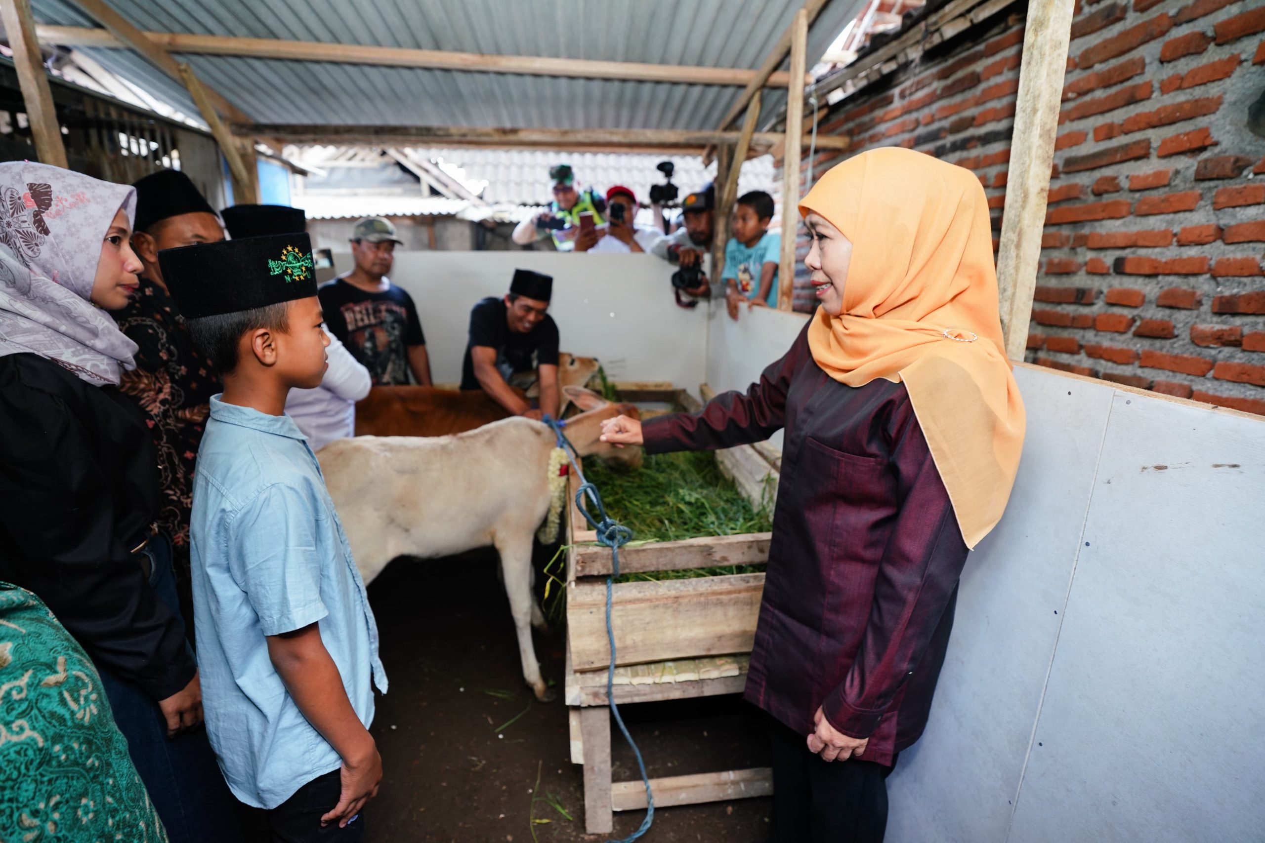 Gubernur Khofifah Wujudkan Cita-Cita Nanda Siswa SD di  Singosari Malang, Sepasang Anak Sapi Beserta Kandangnya Jadi Hadiah Istimewa