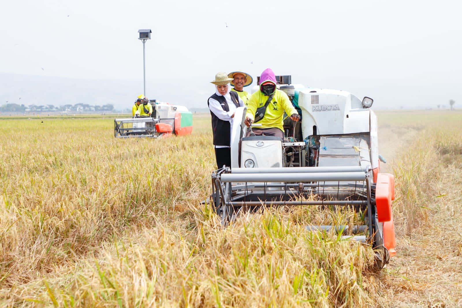 Potensi Produksi Padi Januari-Juli 2025 Nyaris 9 Juta Ton GKP, Gubernur Khofifah Optimis Wujudkan Kedaulatan Pangan Nasional dari Jatim