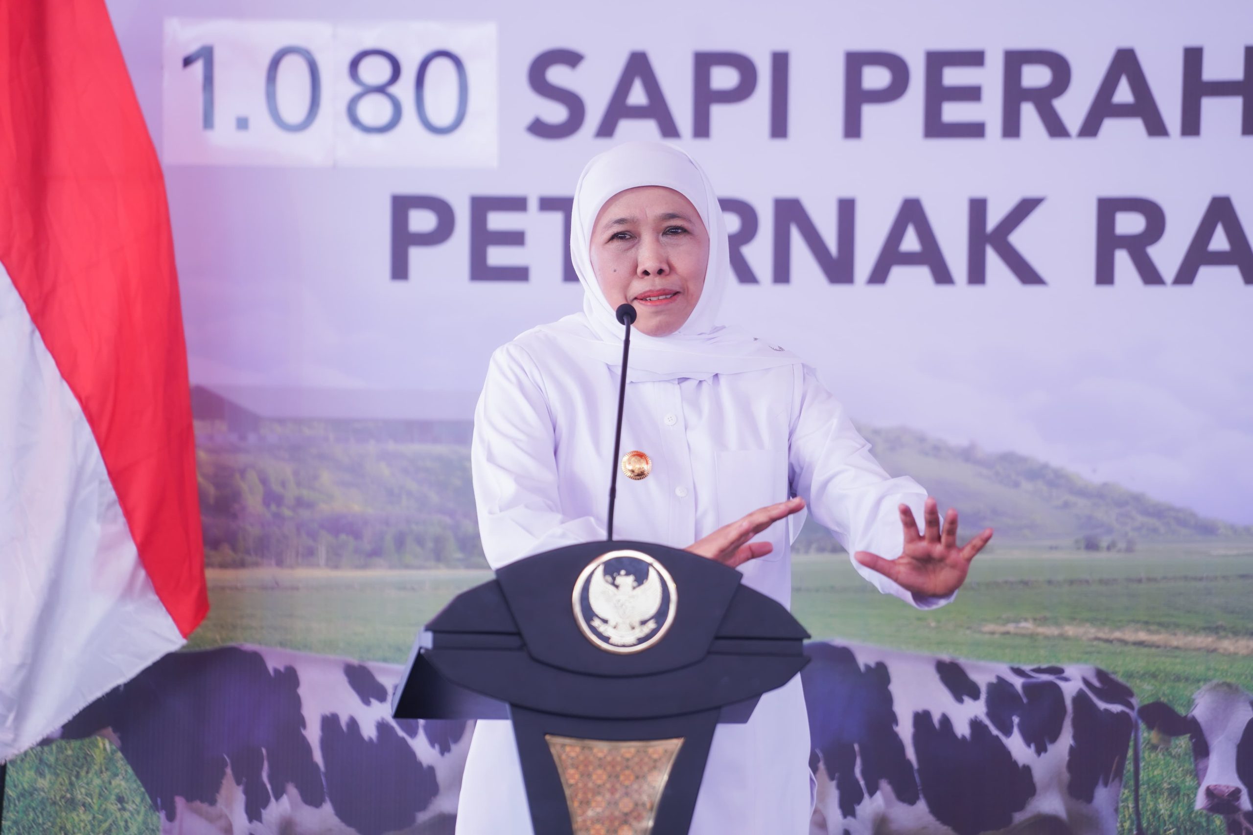 Sebanyak 1.080 Ekor  Sapi Perah dari Australia Didatangkan di Jatim, Gubernur Khofifah Optimistis Tingkatkan Produksi Susu dan Dorong Pemerataan Ekonomi