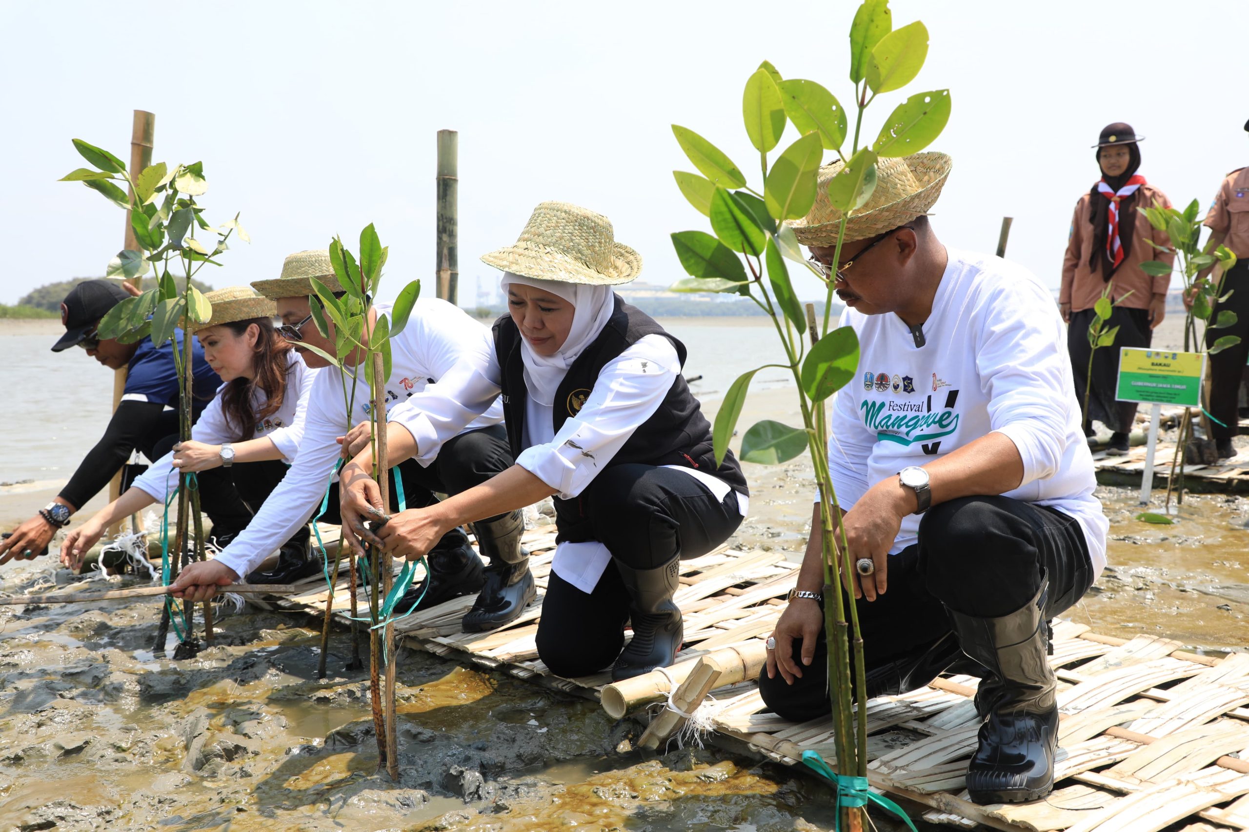 Hutan Mangrove Jatim Terluas di Pulau Jawa, Gubernur Khofifah Ajak Masyarakat Sedekah Oksigen Lewat Gerakan Tanam Mangrove
