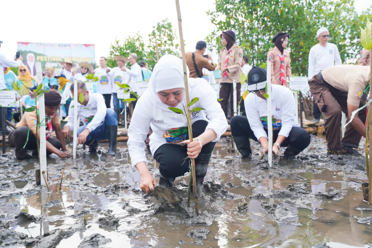 Festival Mangrove Jadi Momentum Kuatkan Potensi Ekonomi Biru di Jatim, Gubernur Khofifah Ajak Semua Pihak Jaga Ekosistem Mangrove