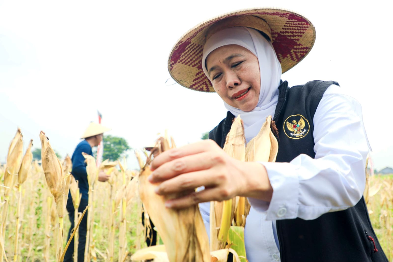 Gubernur Khofifah Apresiasi Peran Kapolda Jatim Perkuat Produksi Jagung, Panen Serentak di Sidoarjo Jadi Penanda Gerak Cepat Dukung Swasembada Pangan 2026