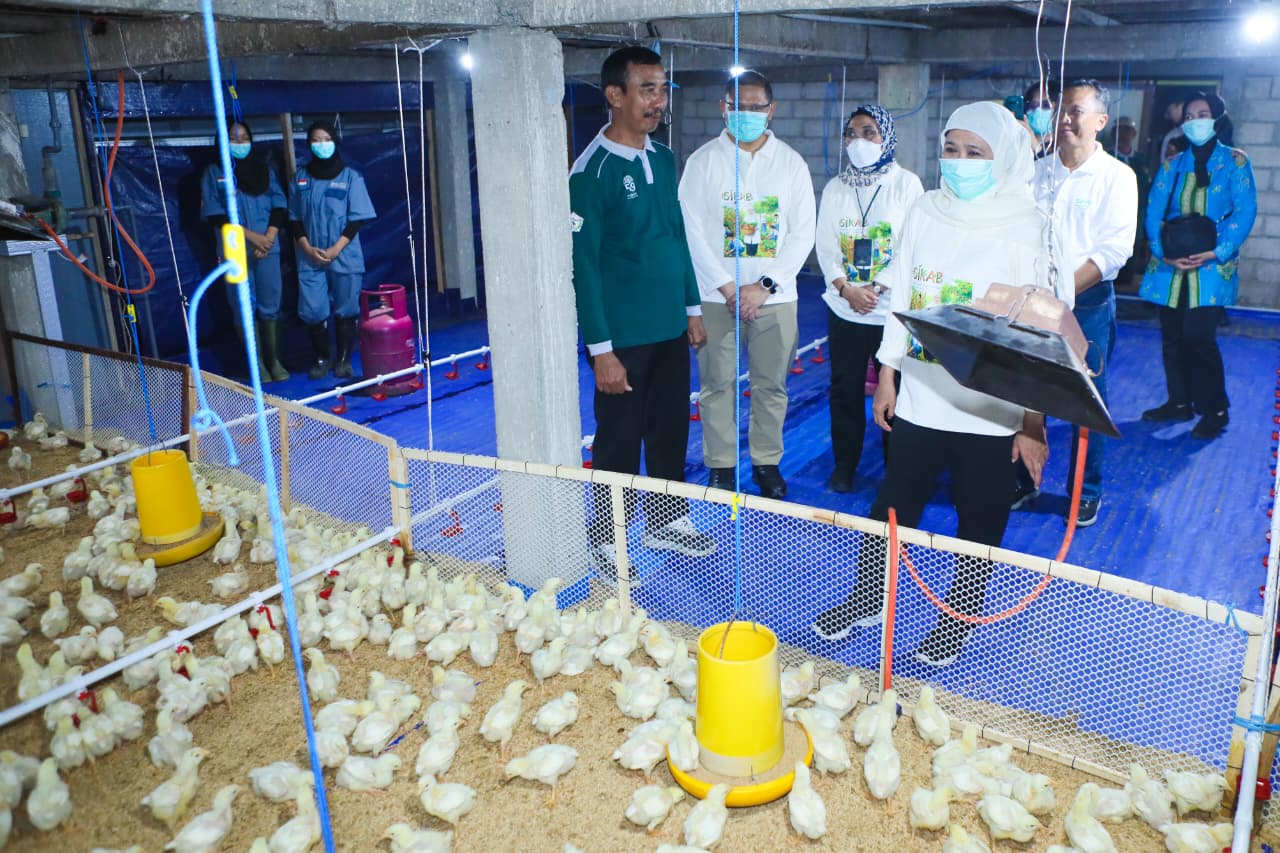 Gubernur Khofifah Pimpin Aksi Penanaman dan Penaburan Benih Serentak sebagai Strategi Penguatan Ketahanan Pangan di Satuan Pendidikan