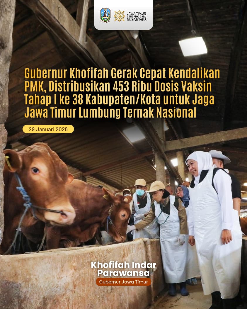Gubernur Khofifah Perkuat Pengendalian PMK dengan Vaksinasi, Biosekuriti, dan Pengawasan Lalu Lintas Ternak